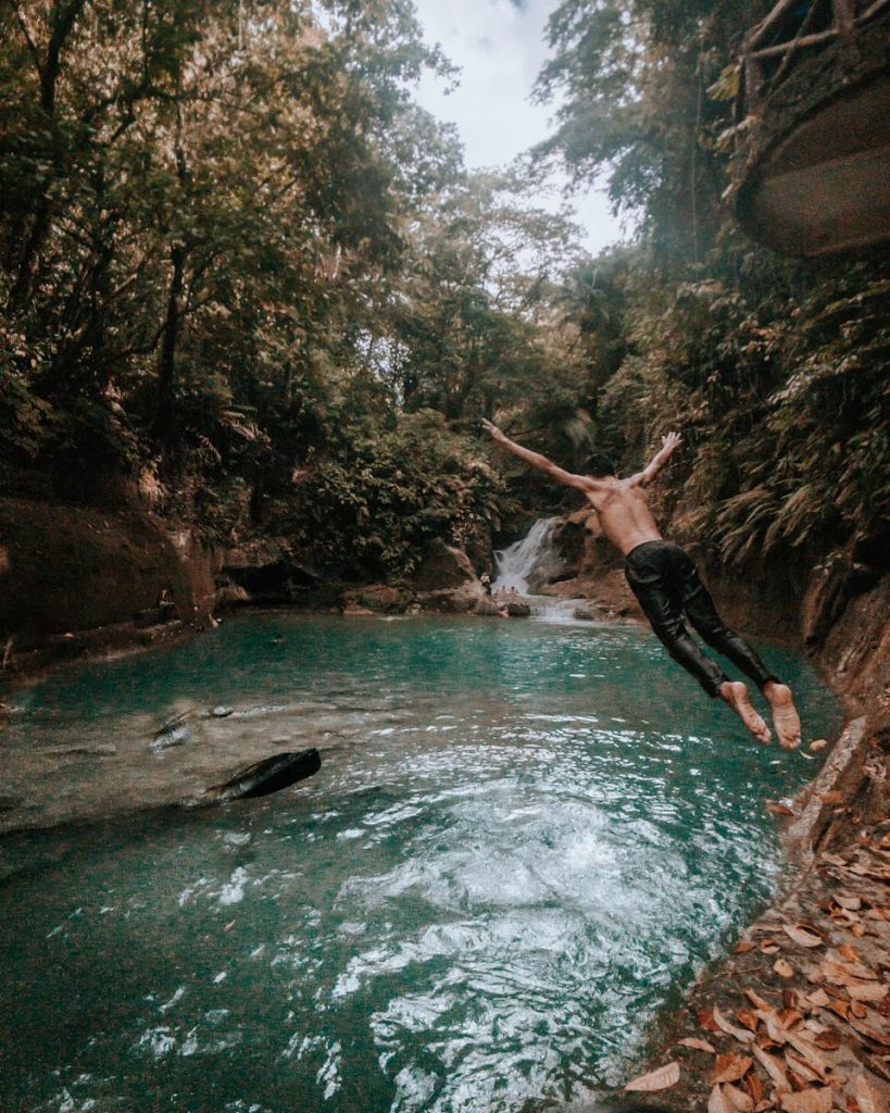 Man Diving at Water Under Green Trees